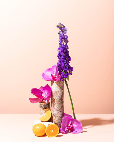 upcycled cedarwood & madagascar orchid