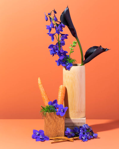 upcycled gajar seed & black iris