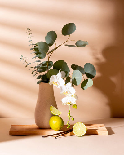 Tranquil Tonka & Sweet Sandalwood
