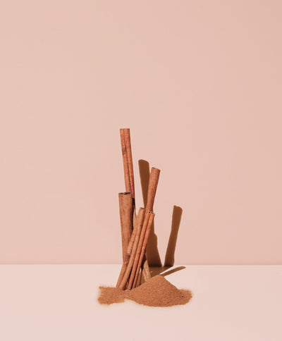 NATURAL CINNAMON SPICE FLAVOR