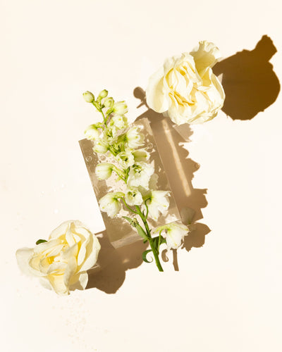 Aldehydic Floral Accord