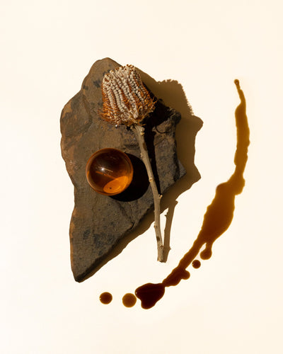 Balsamic Amber Accord