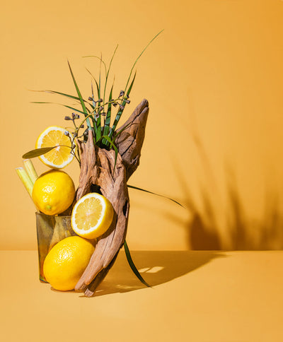 CITRONELLA + CAMPHOR