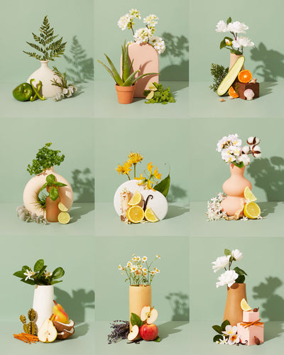 functional home care fragrance discovery kit
