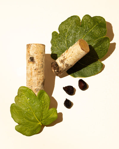Fig Leaf Accord