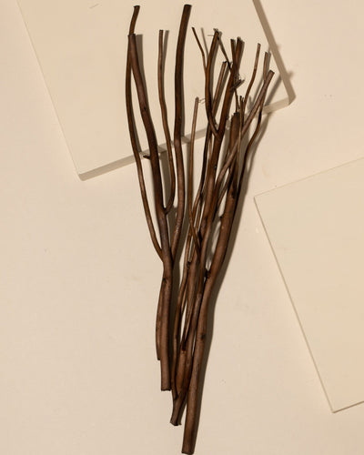 umber willow diffuser reeds