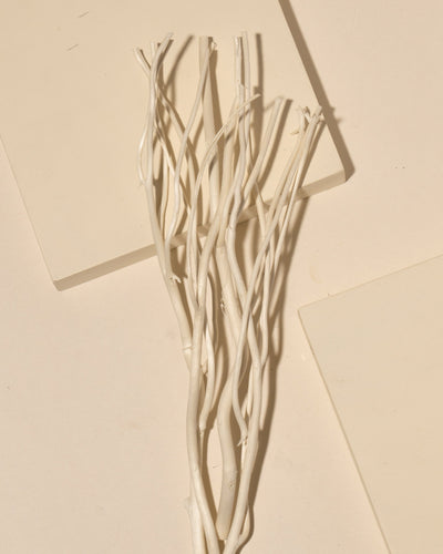natural willow diffuser reeds - set of 50