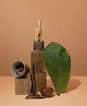 HARVESTED SUMAC & CAMPFIRE