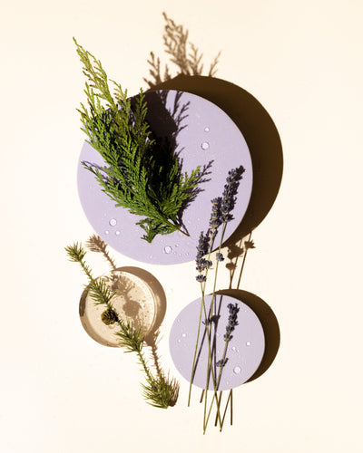 Herbal Lavender Accord