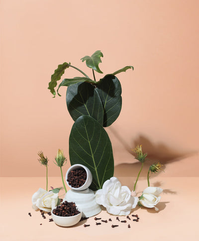 NATURAL ISLAND GARDENIA & SPICED YLANG