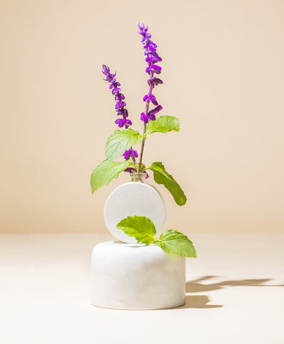 PATCHOULI ESSENTIAL OIL
