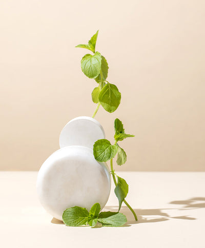 PEPPERMINT ESSENTIAL OIL