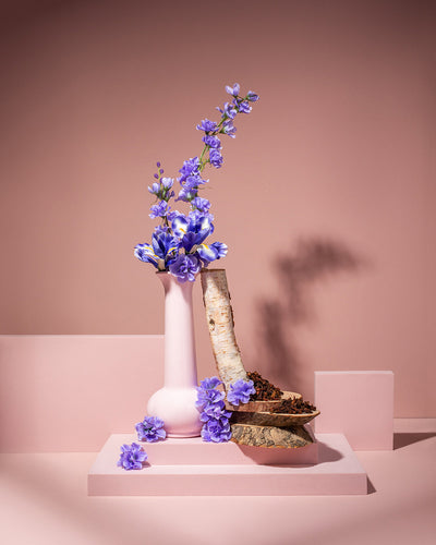 bronzed orris & pink suede