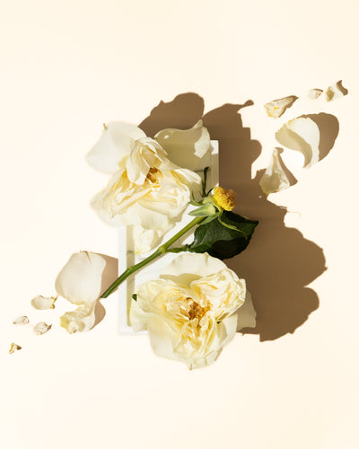 White Gardenia Accord