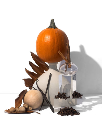 autumn spice & pumpkin patch