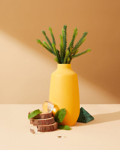 jade fir & baltic cypress