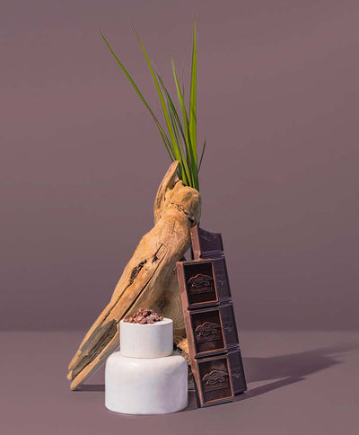 PLUM BLOSSOM & CACAO