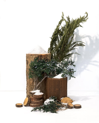 holiday fir & crisp juniper